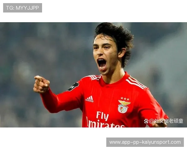 本菲卡青训与一线队衔接成成功秘诀 本菲卡青训与一线队衔接成成功秘诀